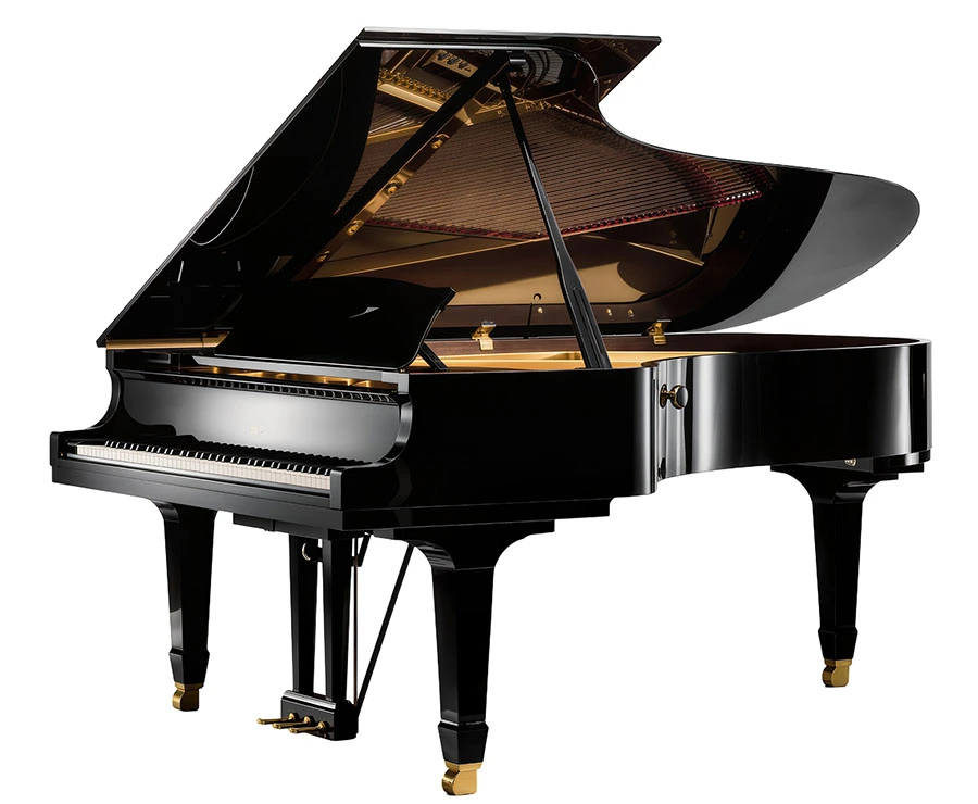Piano Lessons Tailored for Every Age and Skill Level