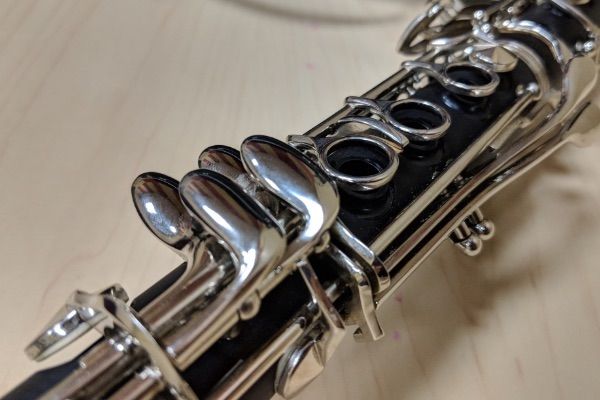 Broad Program Offerings